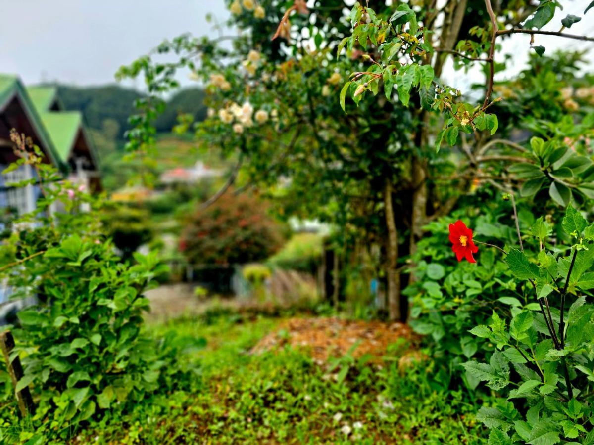 Haven Chalet Nuwara Eliya Kültér fotó